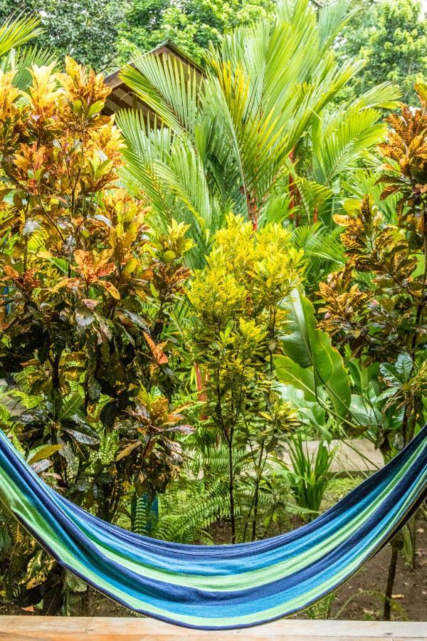 Puerto Viejo de Talamanca Relax Natural Village Adults Only المظهر الخارجي الصورة