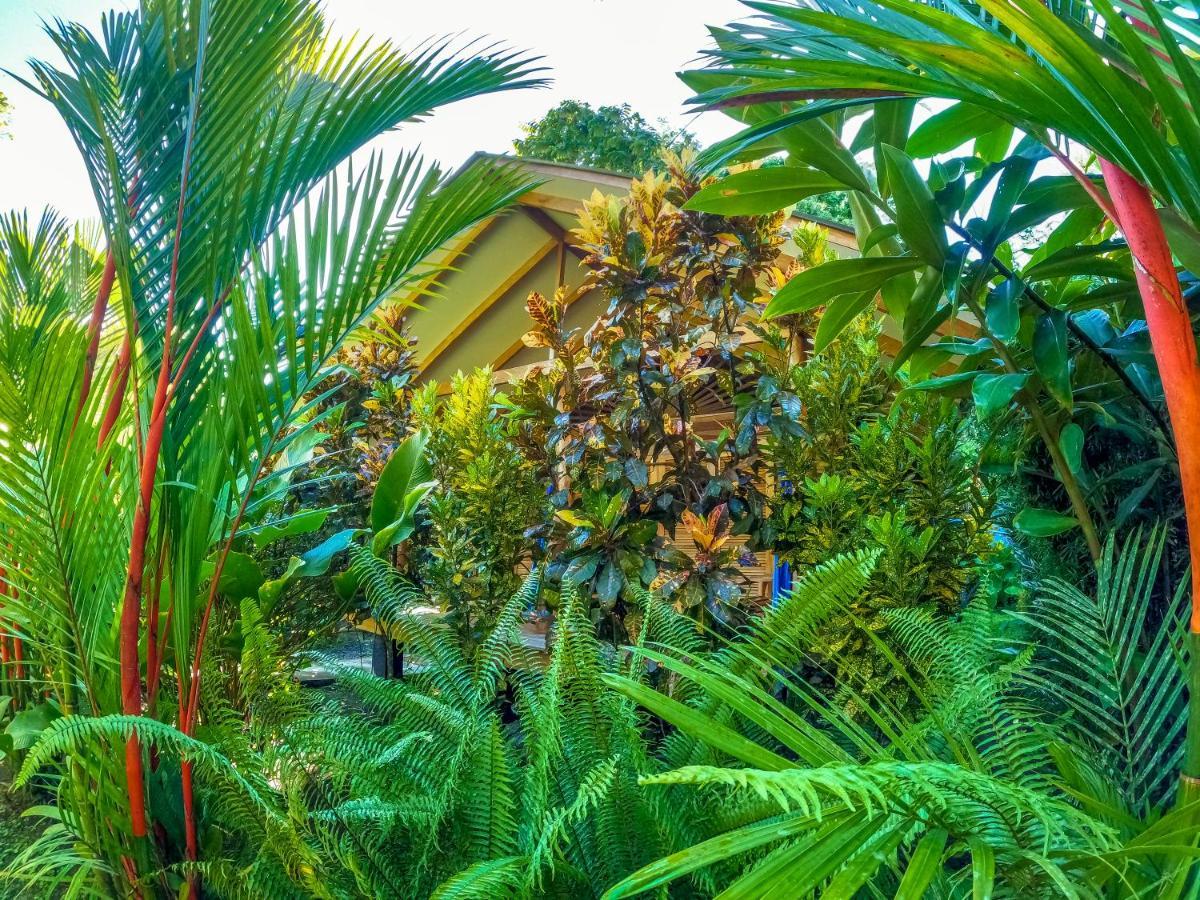 Puerto Viejo de Talamanca Relax Natural Village Adults Only المظهر الخارجي الصورة
