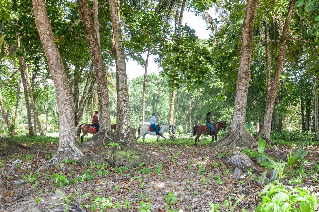 Puerto Viejo de Talamanca Relax Natural Village Adults Only المظهر الخارجي الصورة