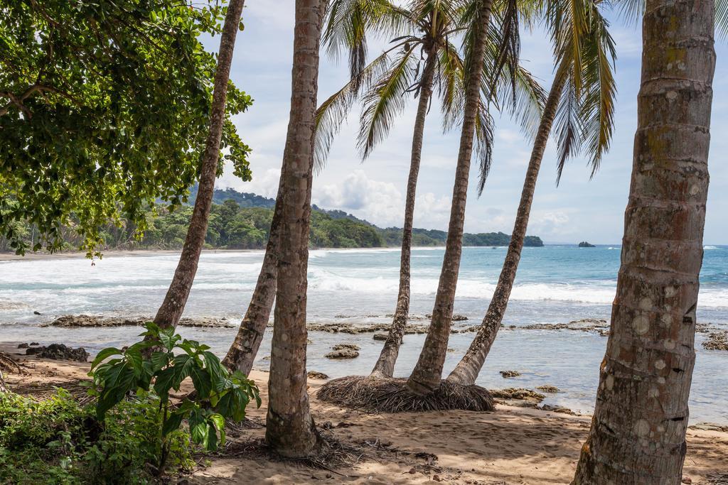 Puerto Viejo de Talamanca Relax Natural Village Adults Only المظهر الخارجي الصورة