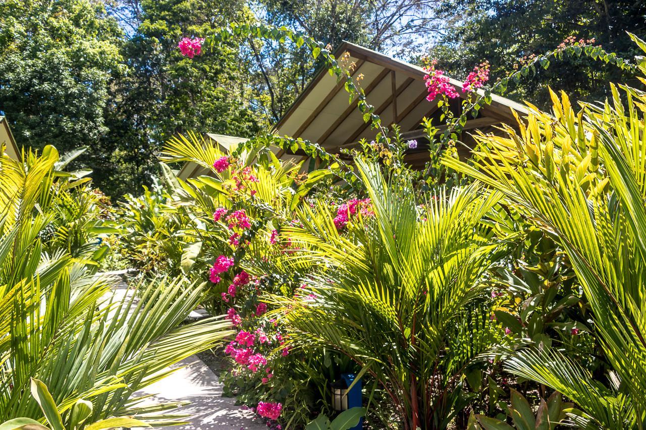 Puerto Viejo de Talamanca Relax Natural Village Adults Only المظهر الخارجي الصورة