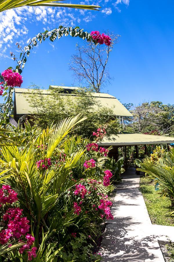 Puerto Viejo de Talamanca Relax Natural Village Adults Only المظهر الخارجي الصورة